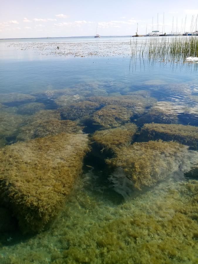 Sorompo Vendeghaz Ξενοδοχείο Balatonkenese Εξωτερικό φωτογραφία
