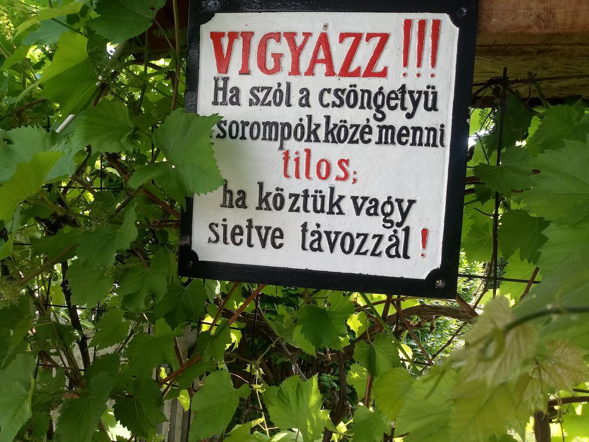 Sorompo Vendeghaz Ξενοδοχείο Balatonkenese Εξωτερικό φωτογραφία